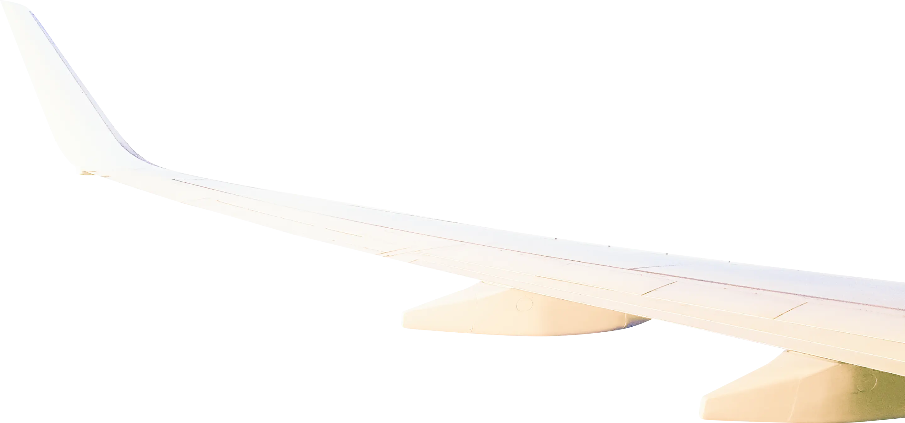 Wing light